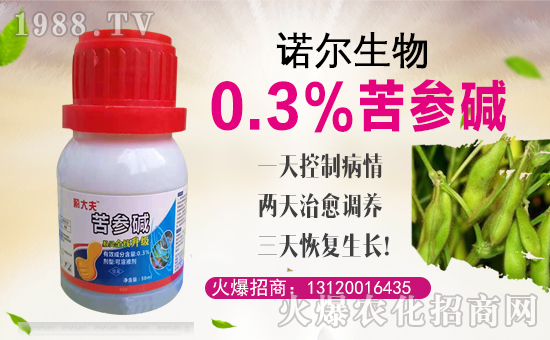 ���Z�����ȫ�w�T����ףȫ����(j��ng)�N�����w�������i�꼪����