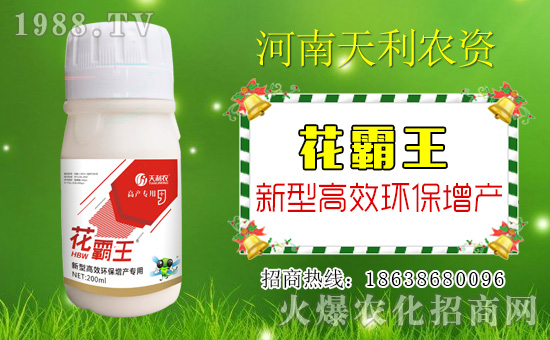 �������r(n��ng)�Y��ףԸһ·�������т����w�������i�꼪�飡