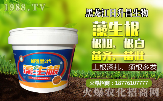     ����������������ף��������µ�һ�����_������f��������