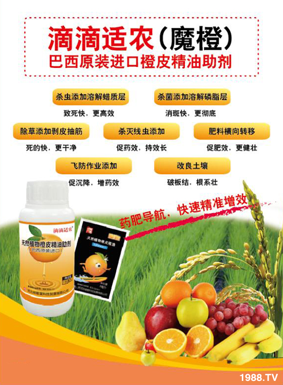 【河北禎禧堂】恭祝大家新年新氣象,豬年行大運(yùn)!