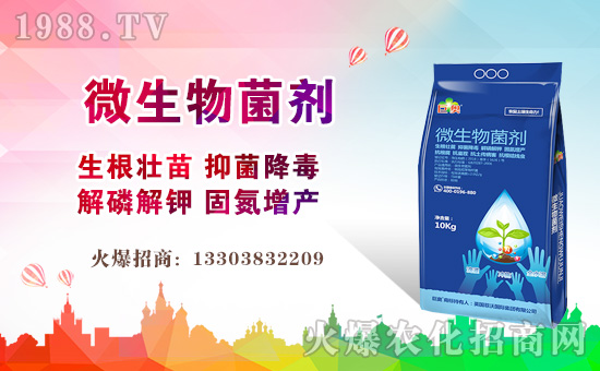 【英國(guó)菲沃國(guó)際】祝大家新的一年里好事多多!笑容多多!