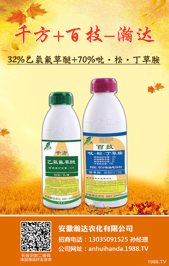 【安徽瀚達(dá)農(nóng)化】恭祝大家身體健康、闔家幸福、豬年大吉!