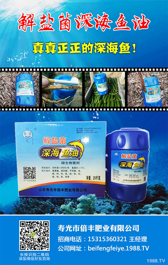 【壽光倍豐肥業(yè)】祝福大家在新的一年里開年大吉,萬事如意!