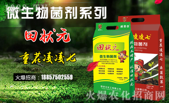 【田狀元化工】祝全國經(jīng)銷商豬年大吉,萬事如意!