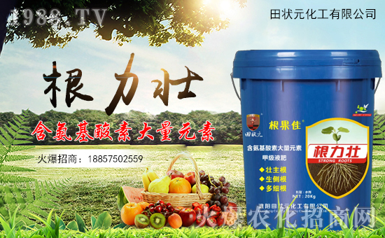 【田狀元化工】祝全國經(jīng)銷商豬年大吉,萬事如意!