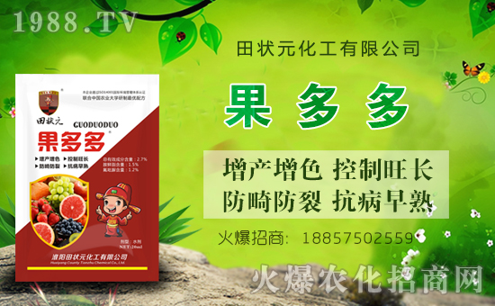 【田狀元化工】祝全國經(jīng)銷商豬年大吉,萬事如意!