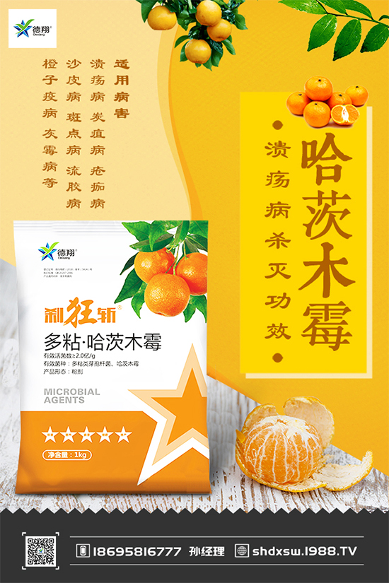 甘藍(lán)黑斑病危害這么大,到底該如何防治?快來(lái)看看吧!