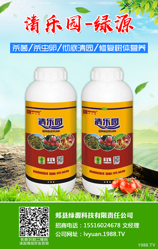 草莓如何施底肥，草莓底肥施用方法及注意事項！