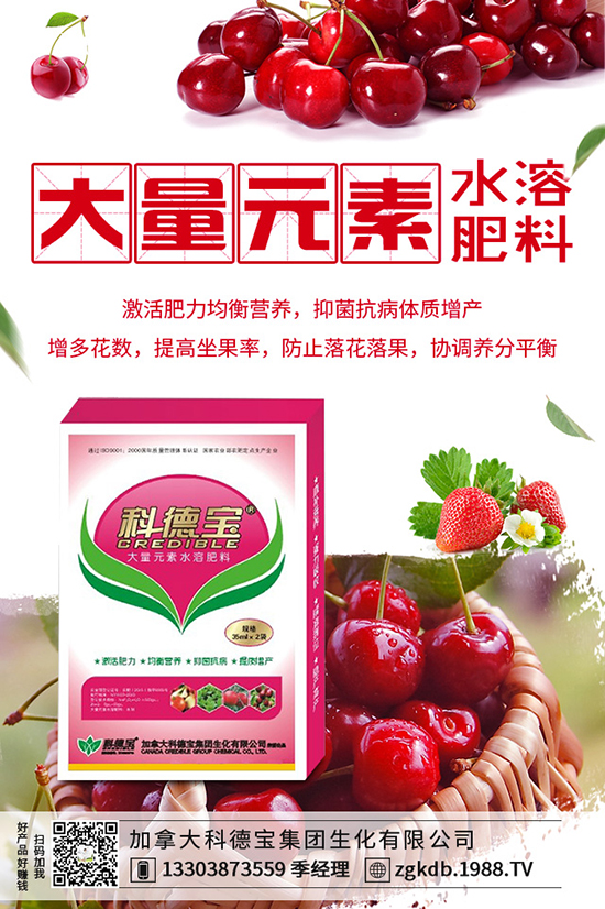 ������(ji��)�N��ᘹ����������������(ji��)��ᘹ�����������