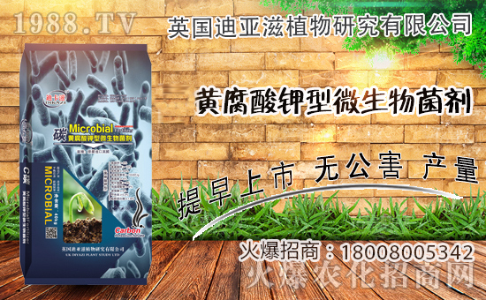 �r(n��ng)���W(w��ng)ϲӭ�����ѣ�Ӣ��(gu��)�ρ��̔y��1988.TV���_�ؾW(w��ng)�j(lu��)������������