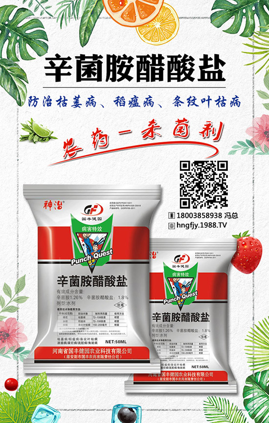 火龍果有哪些營養(yǎng)價(jià)值?紅心火龍果和白心火龍果區(qū)別是什么?