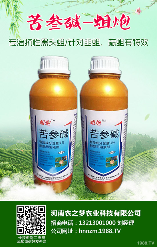 益母草的功效與作用，益母草的使用禁忌！