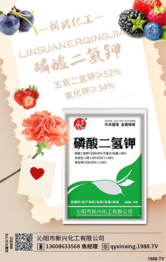 香蔥連作危害大,到底該如何解決?香蔥連作障礙及高產(chǎn)管理技術(shù)!