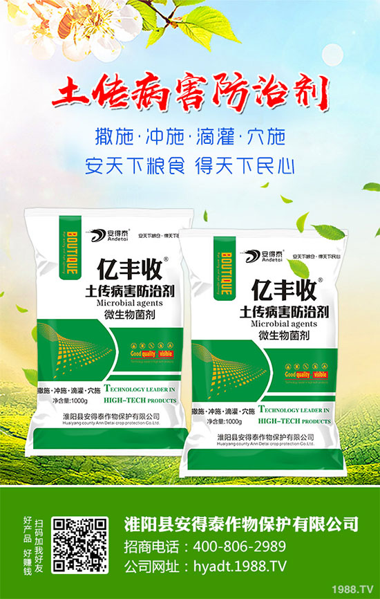 白蘿卜的功效與作用，白蘿卜營養(yǎng)價(jià)值！