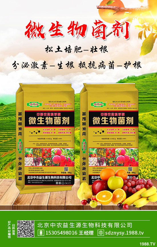     荷蘭豆秋季能種植么？畝產(chǎn)利潤(rùn)如何？荷蘭豆種植管理技術(shù)！