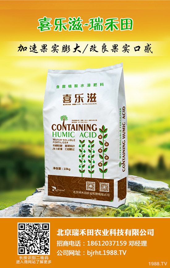 冬棗什么時間種植，冬棗高產(chǎn)管理技術(shù)！