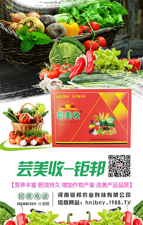 櫻桃蘿卜生長對(duì)環(huán)境條件要求,櫻桃蘿卜怎么施肥?