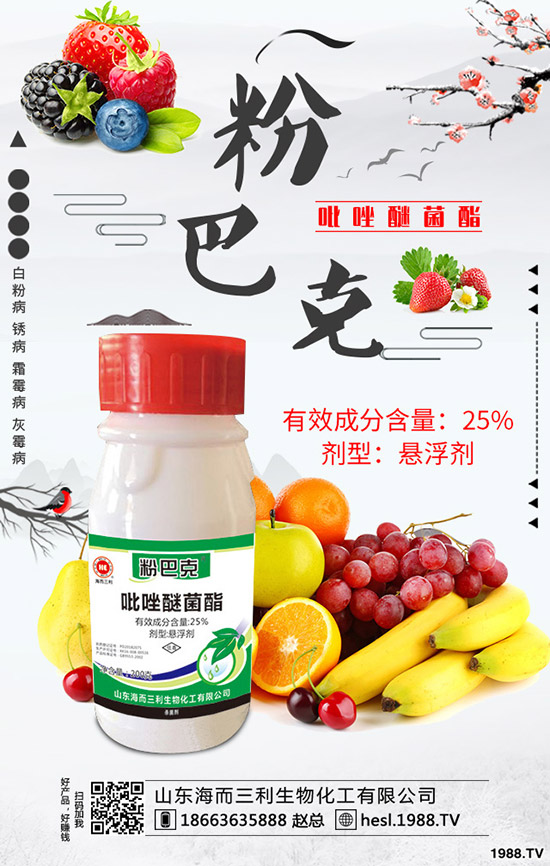 2020年蘆筍種植前景怎么樣？蘆筍如何種植？