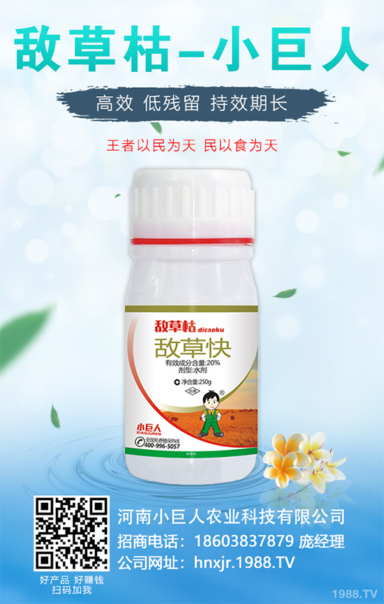 金銀花的種植技術？2020年金銀花種植前景分析