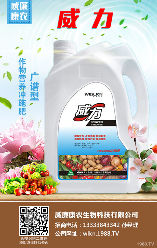 白菜干燒心有哪些危害？是如何引起的？白菜干燒心的防治措施