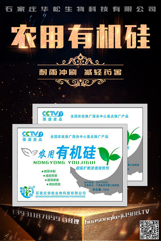 芹菜空心的原因是什么，如何預(yù)防芹菜空心？