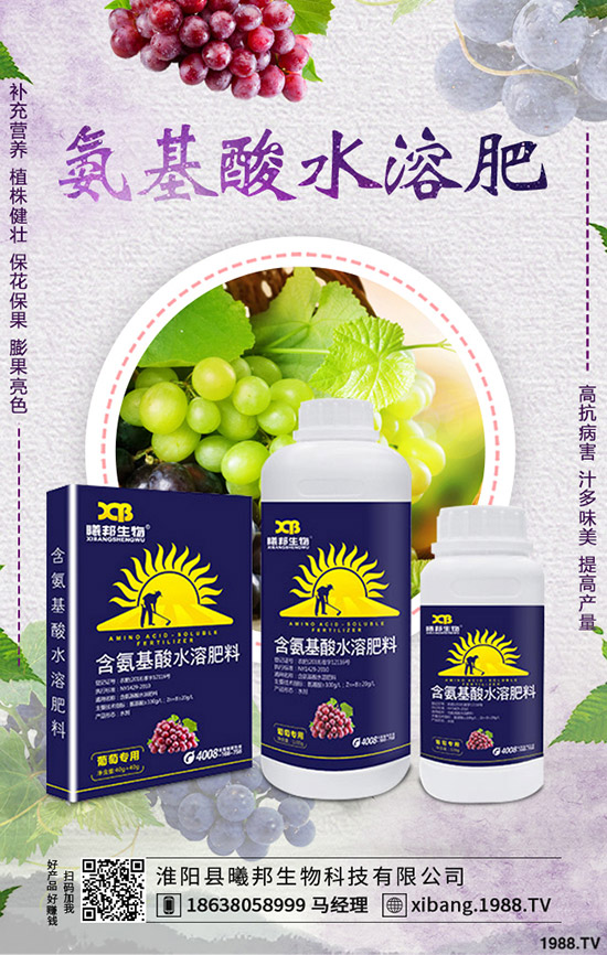 秋季蘿卜怎么種植，秋季蘿卜種植技術及栽培要點！