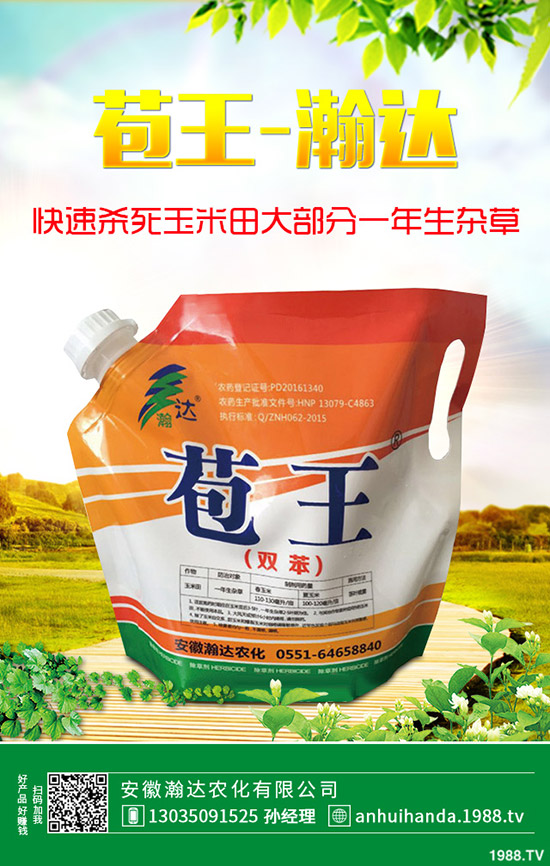 石楠花怎么種植？石楠花的養(yǎng)殖方法！