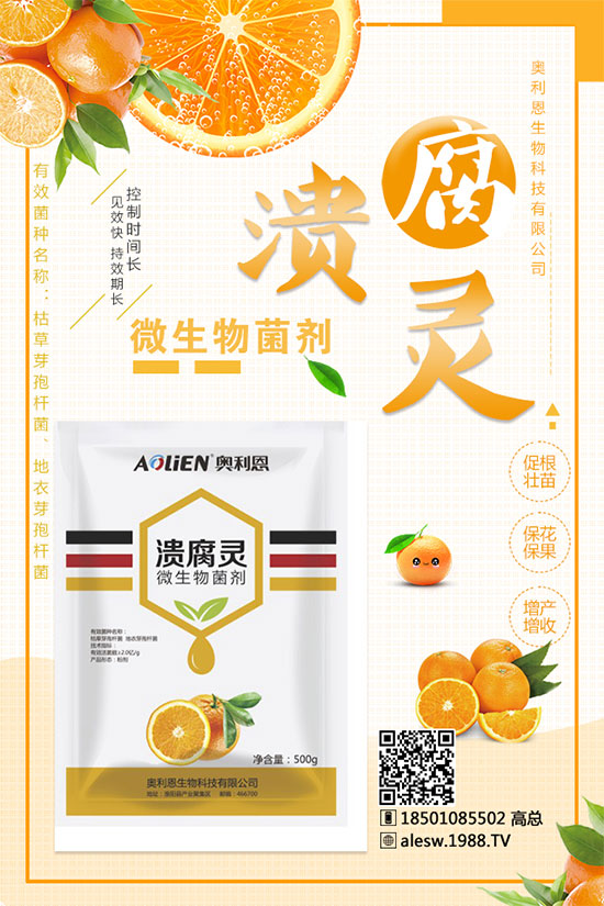 甘蔗什么時(shí)候種？甘蔗種植技術(shù)及種植條件