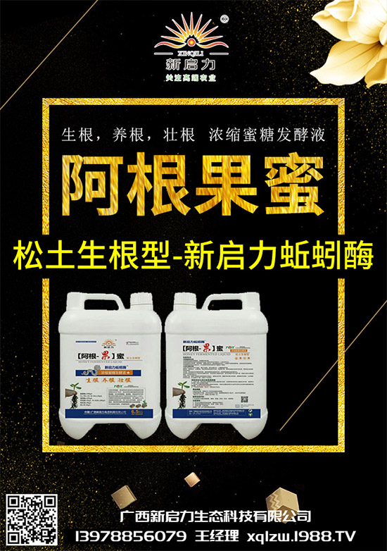 甘藍黑脛病有哪些危害？秋甘藍病害的發(fā)生與防治技巧