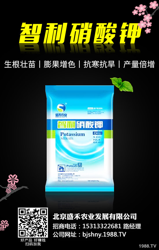 黑豆什么時(shí)候種植，黑豆的種植要點(diǎn)有哪些？