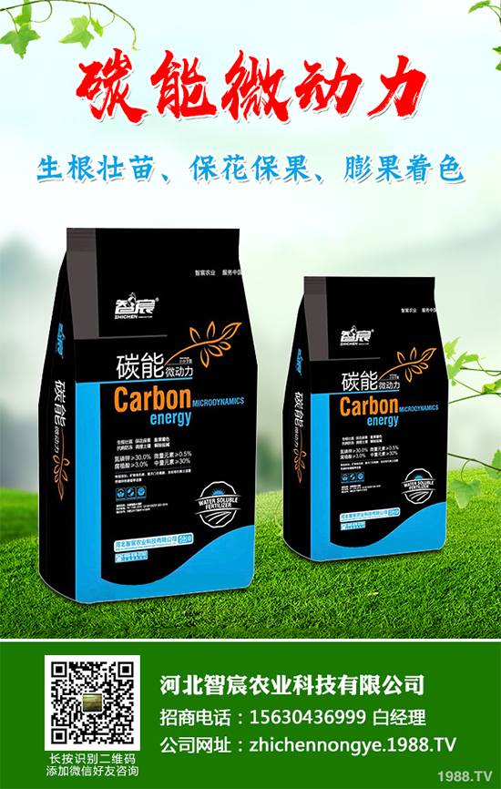 冬季大棚蔬菜種植該注意什么？切記別進(jìn)這六大誤區(qū)