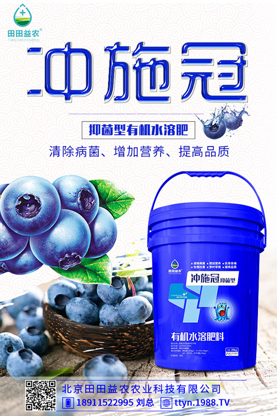 南瓜什么時候種植，南瓜的種植要點有哪些？