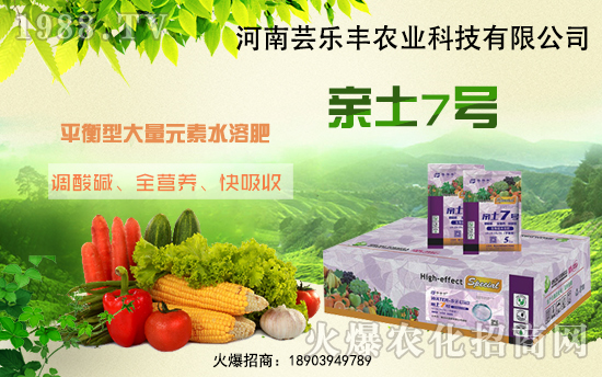 �����|��(l��)�S�ɹ����v1988.TV���_(k��i)���r(n��ng)�Y�N����������