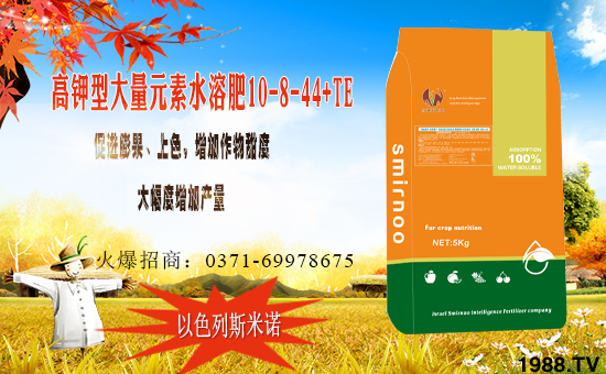 ��ɫ��˹���Z�ɹ����v�r(n��ng)���W(w��ng)���M(j��n)܊�W(w��ng)�j(lu��)�������I(l��ng)����