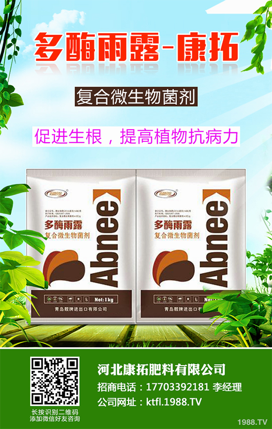 11月份農(nóng)事安排有哪些?2019秋冬蔬菜種植指南