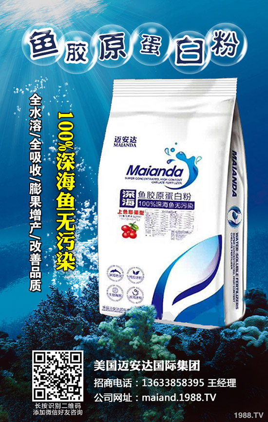 2020年香菇種植賺錢么?前景怎樣?種植品種推薦!