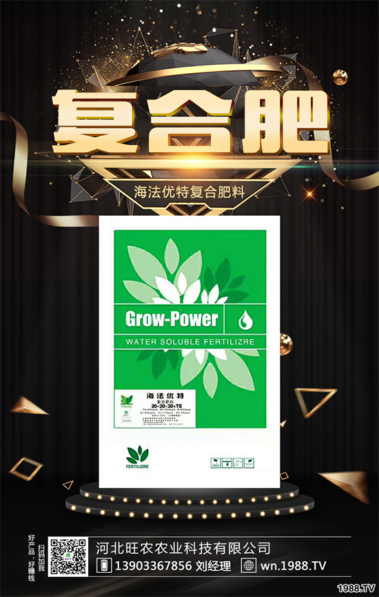 �����Pϵ�����A���ӱ����r(n��ng)�c1988.TV�_����ƪ�£�