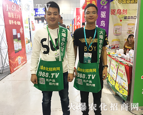     2019ȫ��ֲ�����ו���1988.TV���̟o�ϵK����������