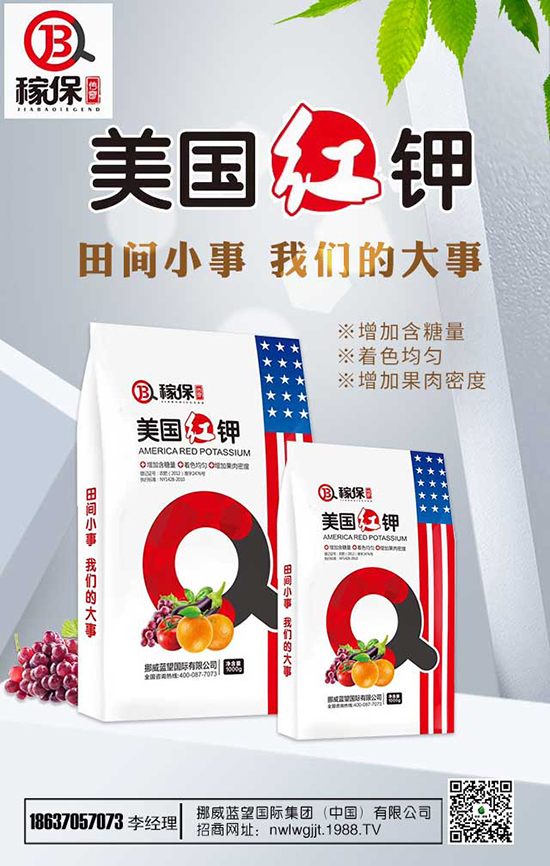 瑞香花養(yǎng)殖方法有哪些？瑞香花養(yǎng)殖注意事項(xiàng)！