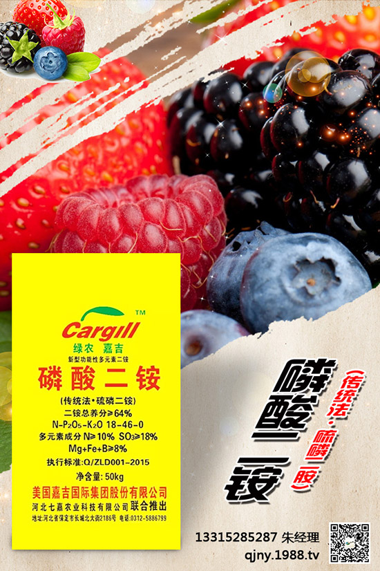 С����ʲô����(ji��)���N������Щ�Nֲ���ɣ�