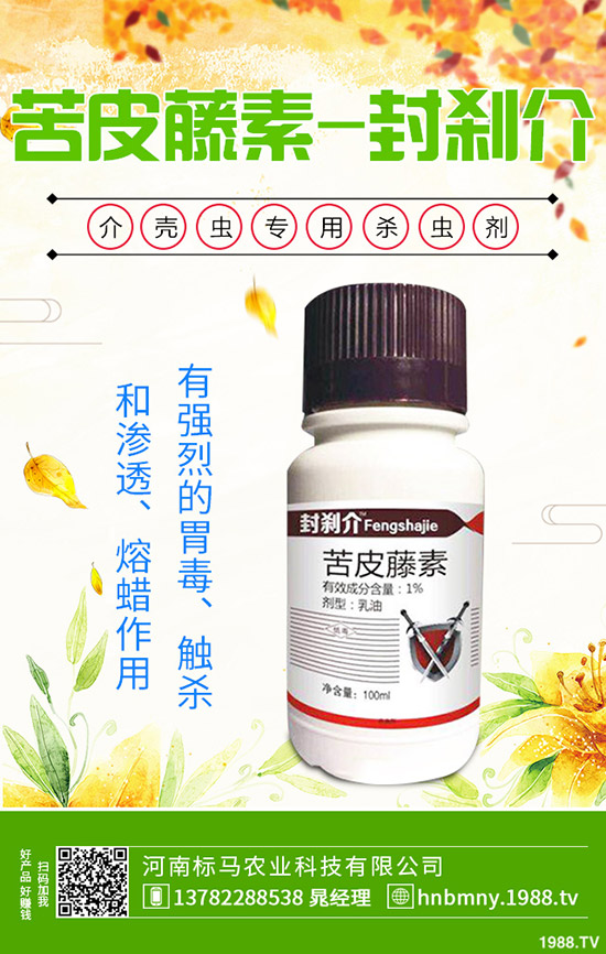 南方水稻什么時候播種，水稻播種育苗要點，快來看看