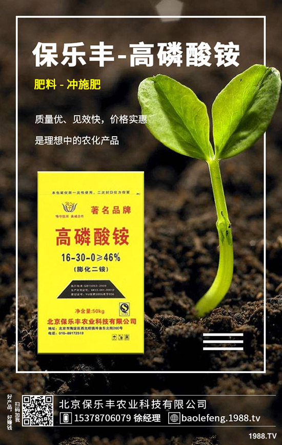 白菜白斑病危害、發(fā)病規(guī)律有哪些？白菜白斑病如何防控？