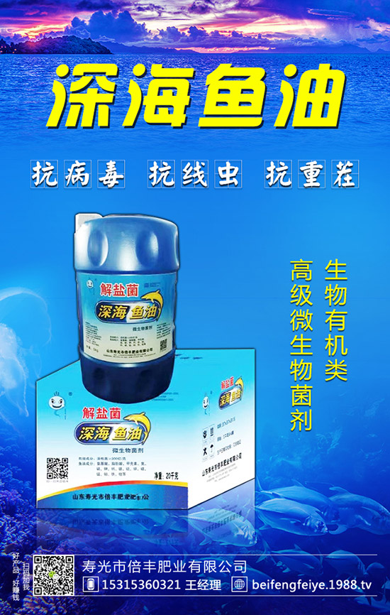 黑枸杞的種植方法，黑枸杞的種植前景