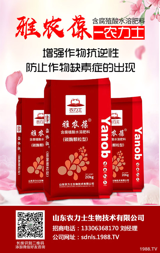     ����δ�_ʼ�����@����δ�������ն��@���³��S�����r��2019-11-5