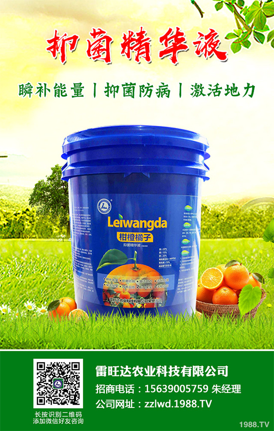 長(zhǎng)期低溫寡照,蔬菜長(zhǎng)勢(shì)差該如何解決?冬季大棚補(bǔ)光的幾項(xiàng)措施