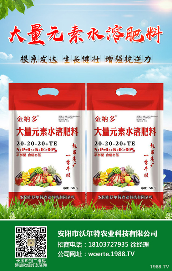 龍眼怎么種，龍眼種植要求有哪些？