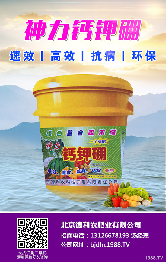 八月瓜種植前景如何，八月瓜種植要點(diǎn)！