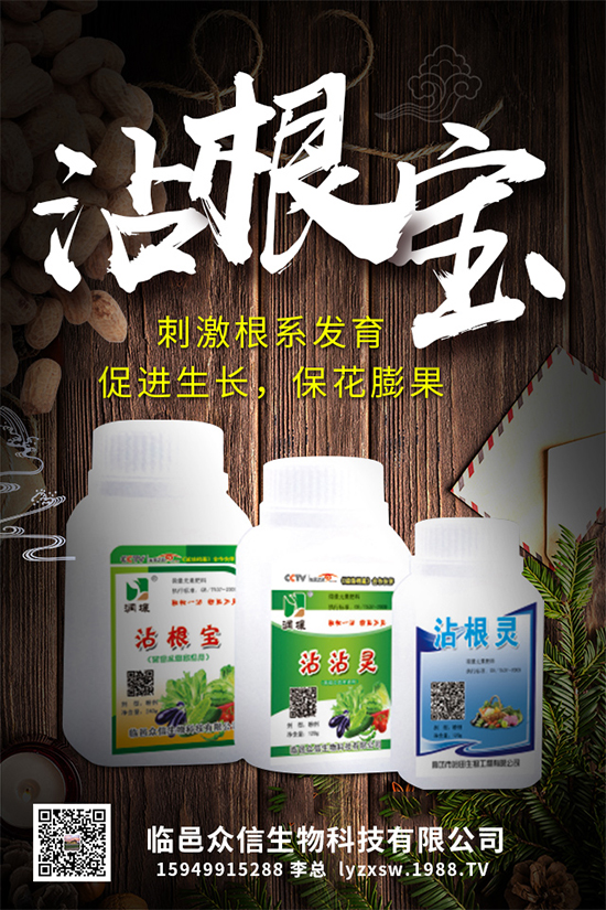 大棚種植黃瓜優(yōu)質(zhì)高產(chǎn)管理，肥料需要這樣施！