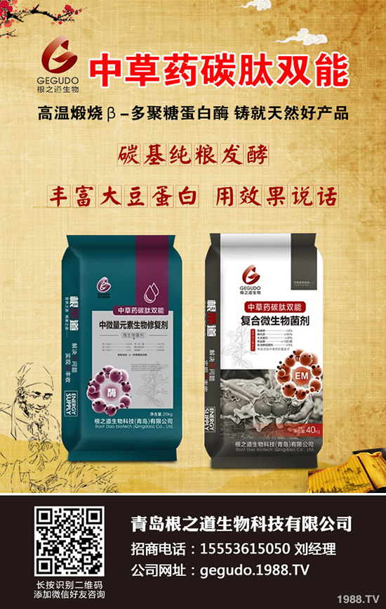 大麥播種您真的會(huì)嗎,大麥播種時(shí)間及技巧!