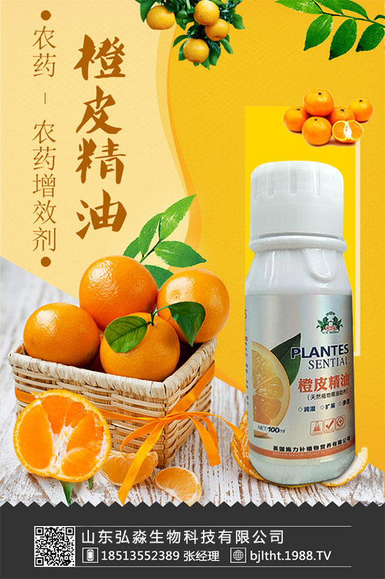 ɽ�|�����ٶȔy��1988.TV���y�ֹ���(chu��ng)��(zh��n)��(j��)�����Aδ��(l��i)��